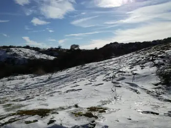 De Panne in de sneeuw (België)